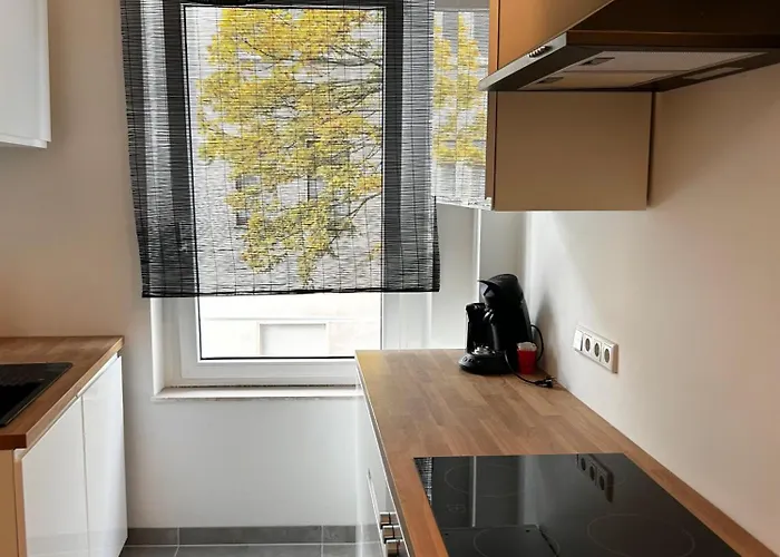 公寓 Monteurswohnung In - Naehe Bp Gelsenkirchen - Neu Saniert *